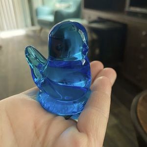 Bluebird of happiness 🐦